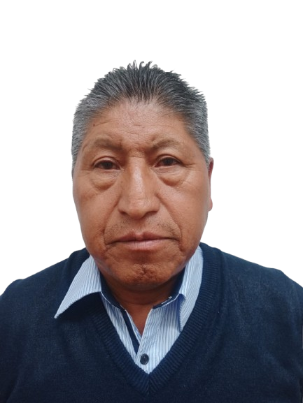 Conductor Profesional